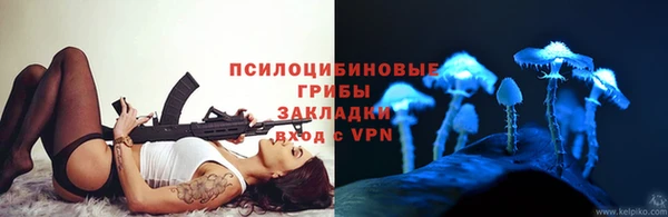 прущий лед Аркадак