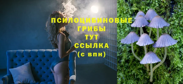 кокс Арсеньев